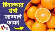 थंडीत संत्री खाण्याचे '४' गुणकारी फायदे | 4 Health Benefits of Oranges | Winter  Skin Care 2021
