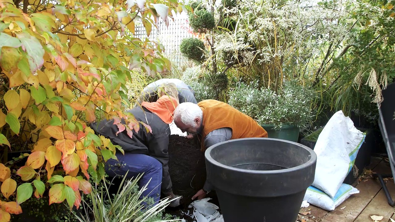 Vague de froid, tempête... Comment rempoter un arbre et réparer les dégâts ?