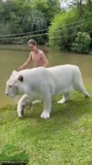 Animals Fanny