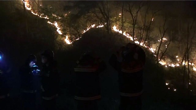 北 산림복원 지원 ...도심 위협 산불, 대책은? / YTN