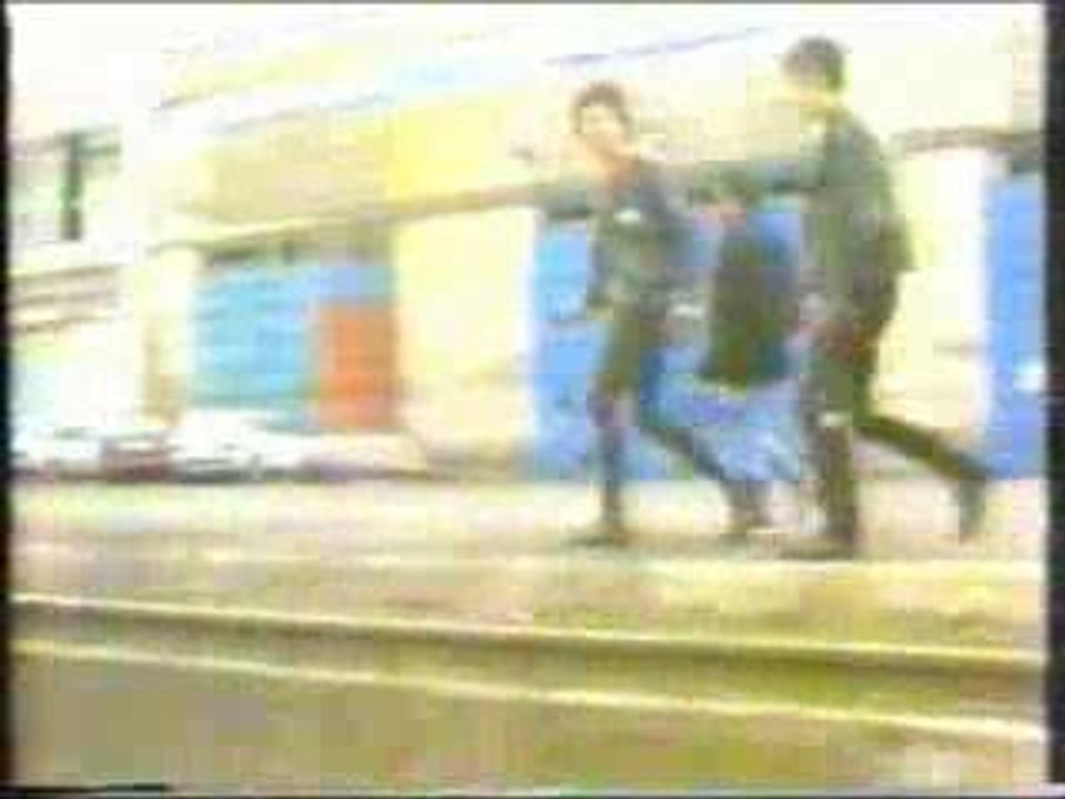 eskorbuto - busco en la basura