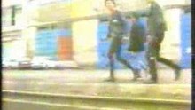 eskorbuto - busco en la basura