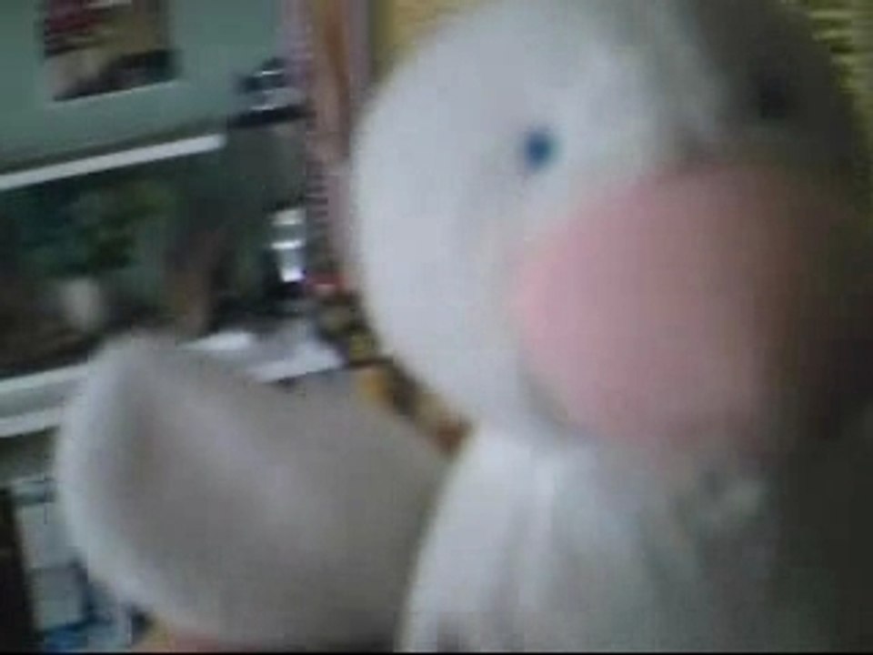 épisode 2    1