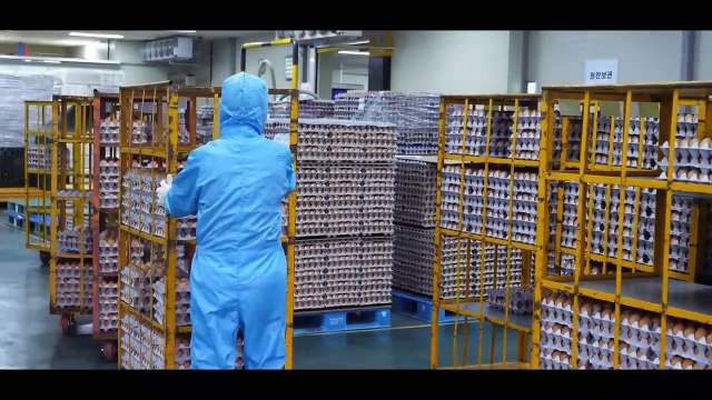 amazing! Egg factory produces baked eggs - ¡increíble! Fábrica de huevos produce huevos horneados,