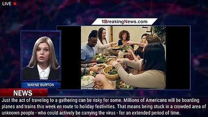 Experts say traveling for Thanksgiving IS likely safe but Americans 'should know their individ - 1BR