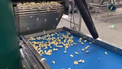 مشروع استيراد وتقشير الثوم | مشروع مربح