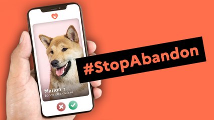 StopAbandon L'adopter, c'est s'engager !