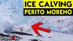 'Ice calving makes the Perito Moreno Glacier look like a frozen waterfall '