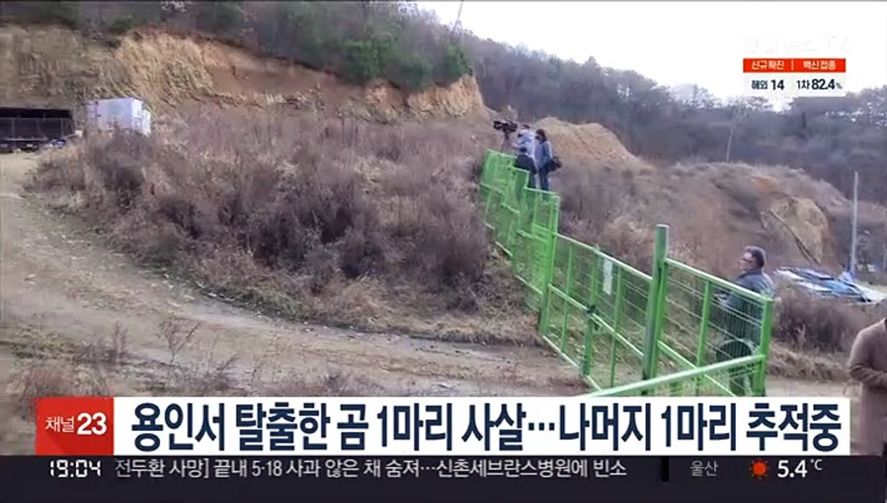 용인서 탈출한 곰 1마리 사살…나머지 1마리 추적중