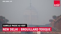 Pollution en Inde : New Delhi à nouveau dans un brouillard toxique
