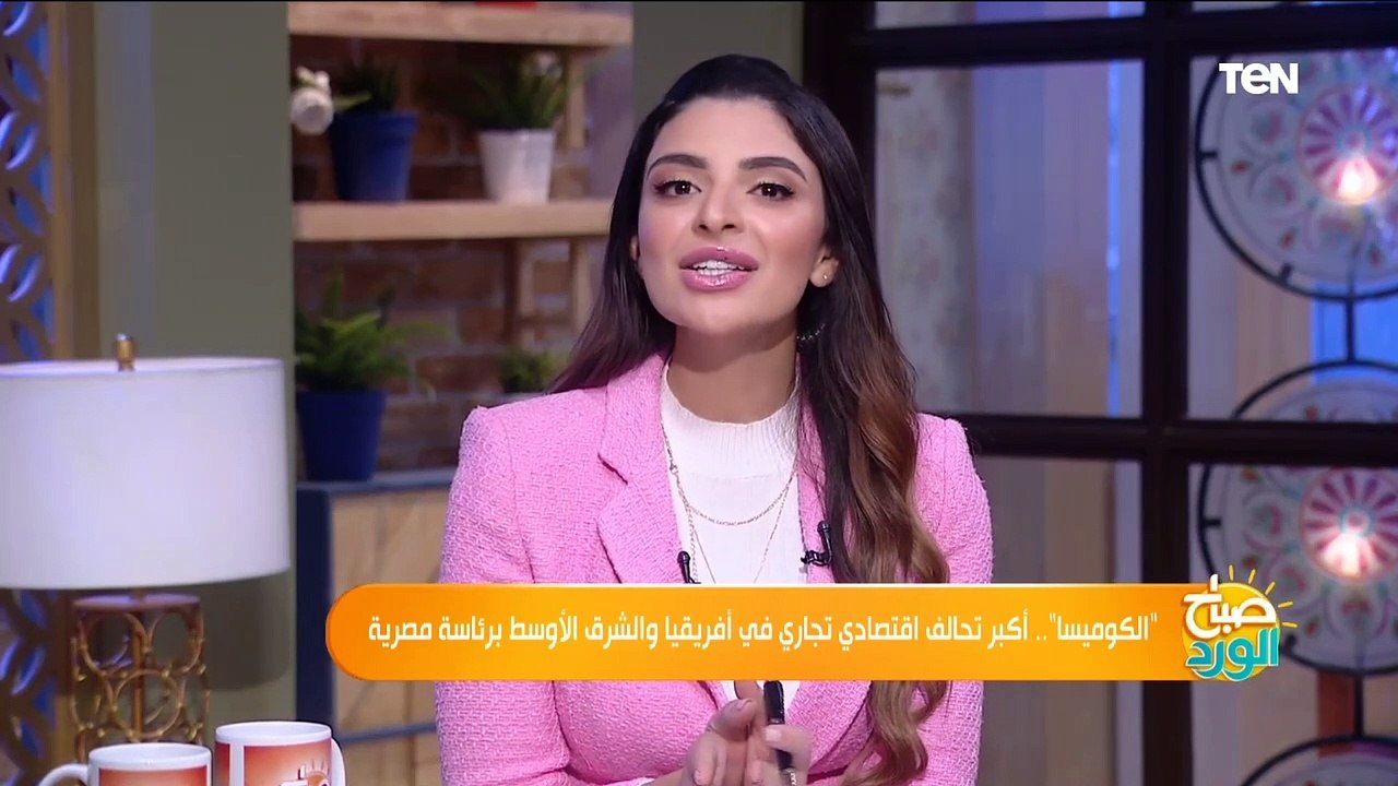الكوميسا .. أكبر تحالف اقتصادي تجاري في أفريقيا والشرق الأوسط برئاسة مصرية