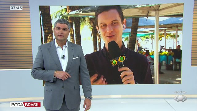 Oito corpos foram encontrados em uma zona de mata, em São Gonçalo, apenas um deles ainda não foi identificado. Moradores afirmam que há mais corpos no local.