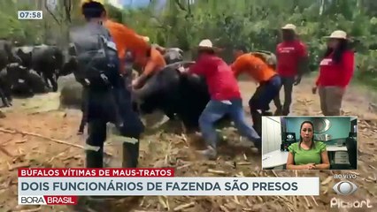 Dono dos animas foi preso, mas solto após pagar fiança. Dois funcionários do local também foram apreendidos e a justiça devolveu a tutela para o dono.
