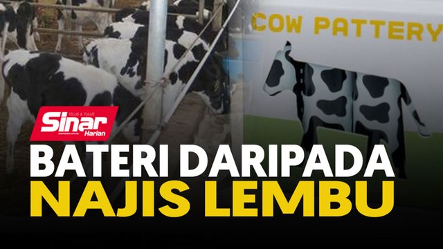 Bateri daripada najis lembu