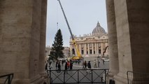 Roma, in piazza San Pietro iniziano i lavori per l'albero di Natale