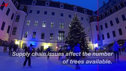 You May Be Paying 30% More For Your Christmas Tree This Year
