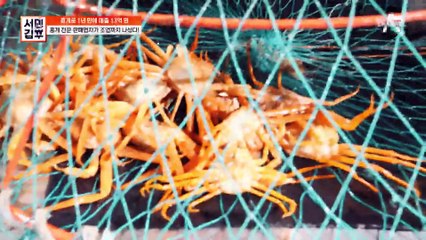 고생 끝에 먹는 밥이 가장 맛있는 법! 조업을 나선 후, 배 위에서 먹는 홍게라면☆!