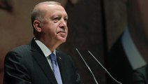Döviz kuru rekor kırarken Cumhurbaşkanı Erdoğan'dan dikkat çeken bir çıkış geldi: Ekonomisi güçlü Türkiye'ye hiç olmadığı kadar yakınız