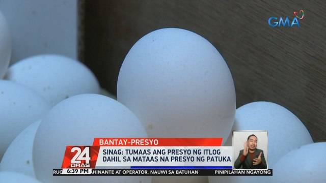 SINAG: Tumaas ang presyo ng itlog dahil sa mataas na presyo ng patuka | 24 Oras