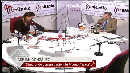 Mundo Natural: La importancia de la melatonina para el organismo