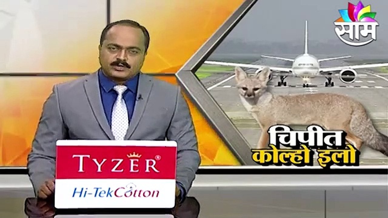 Sindhudurg ;  चिपी विमानतळावर कोल्हा इलो ; पाहा व्हिडीओ