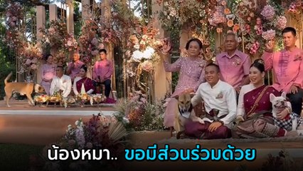 เอ็นดู น้องหมาอยากเป็นสักขีพยาน ในงานแต่งของเจ้าของ ขออยู่ใกล้ ๆ ไม่ยอมไปไหน