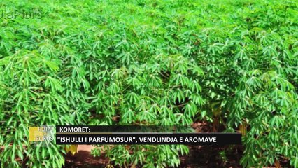 'Bota në fokus': Quhen "ishujt e parfumosur" - Komoret, ishujt piktoresk të Afrikës Lindore