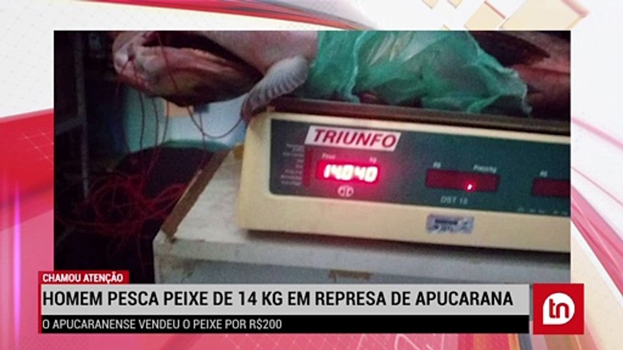 Homem pesca peixe de 14 Kg e chama atenção em Apucarana