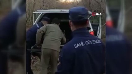 Denizde yüzer halde bulunan karaca doğal ortamına bırakıldı