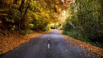 Enchanting Autumn Nature Scenes + Relaxing Piano Music for Stress Relief