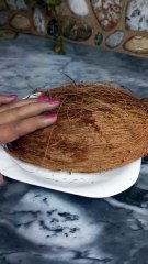 How to grow indoor money plant.