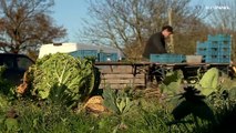 El Parlamento Europea aprueba la reforma de la Política Agrícola Común