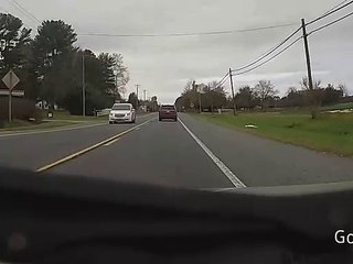 Deer Crosses New Heights