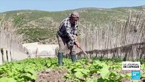 Tunisie : un système d'irrigation menacé par le réchauffement climatique