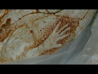 On vous fait visiter la réplique de la grotte Cosquer à la Villa Méditerranée