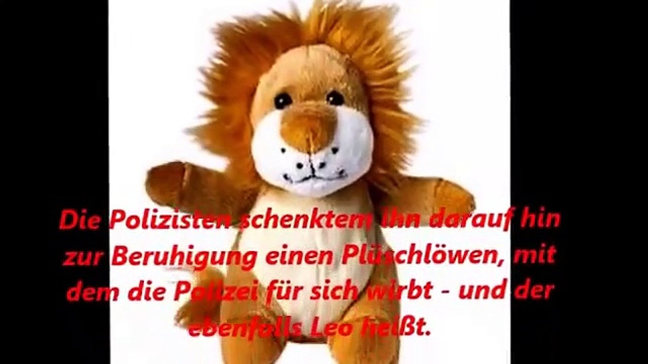 Die Skurrilen 3 Verlohren aber wiedergefunden