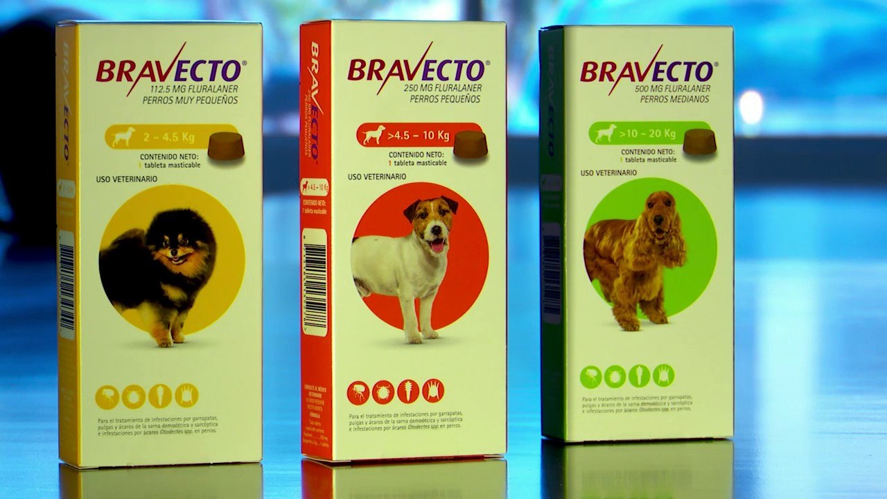 tn7-publireportaje-bravecto-231121