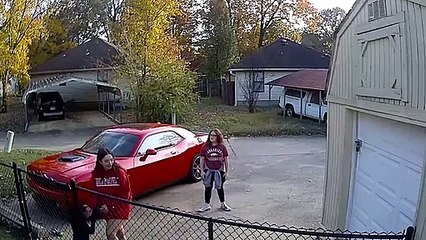 Dog Removed From Behind Fence