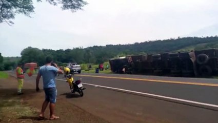Vídeo: Indígenas saqueiam carga de caminhão tombado na BR-277