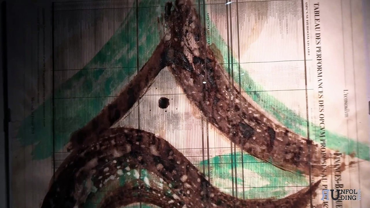 Biophilia Mostra personale di Redouane Benzemmouri Curatrice  Federica Fabrizi