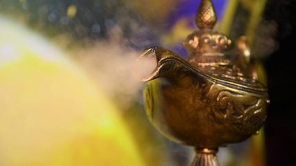 Aladdin pantomime at The Globe, Pleasure Beach is a hit