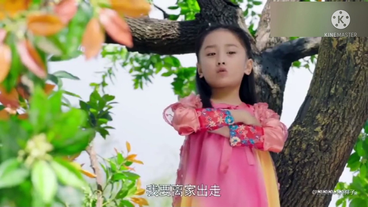 Final Chinese drama Rebirth For You