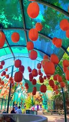 New VLOG Coming! Can you guess where I am? #shorts #rubykakitchen #halloween #pumpkin #vlog