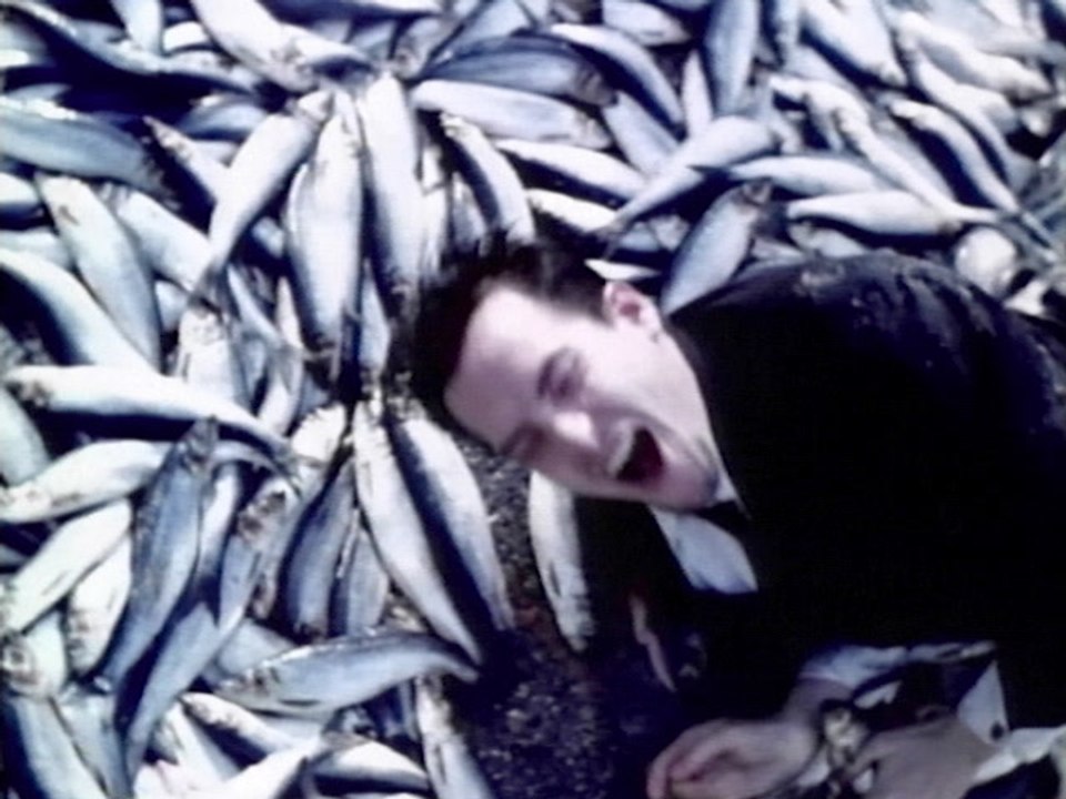 Filter Jurassitol video Dailymotion