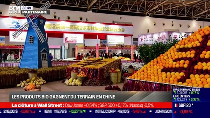 Chine Éco : Mode d'emploi pour les marques de niche sur le marché chinois par Erwan Morice - 23/11