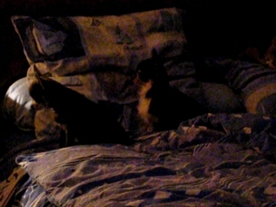 S et V au lit