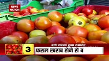 Vegetables Price Hike/Fruits Price Hike: 120 रुपए किलो मिल रहा है टमाटर, महंगाई से जनता बेहाल