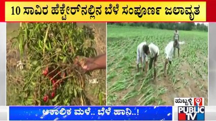 Hubli: Over 10,000 Hectare Crops Waterlogged Due To Heavy Rain