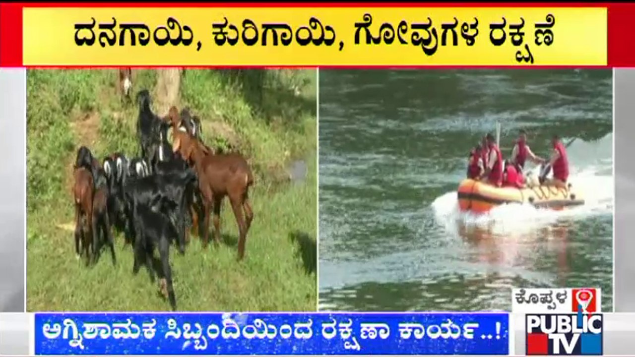 Koppal: Firefighters Rescued Sheeps & Cows
