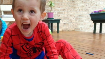 Police investigations continue into the disappearance of William Tyrrell